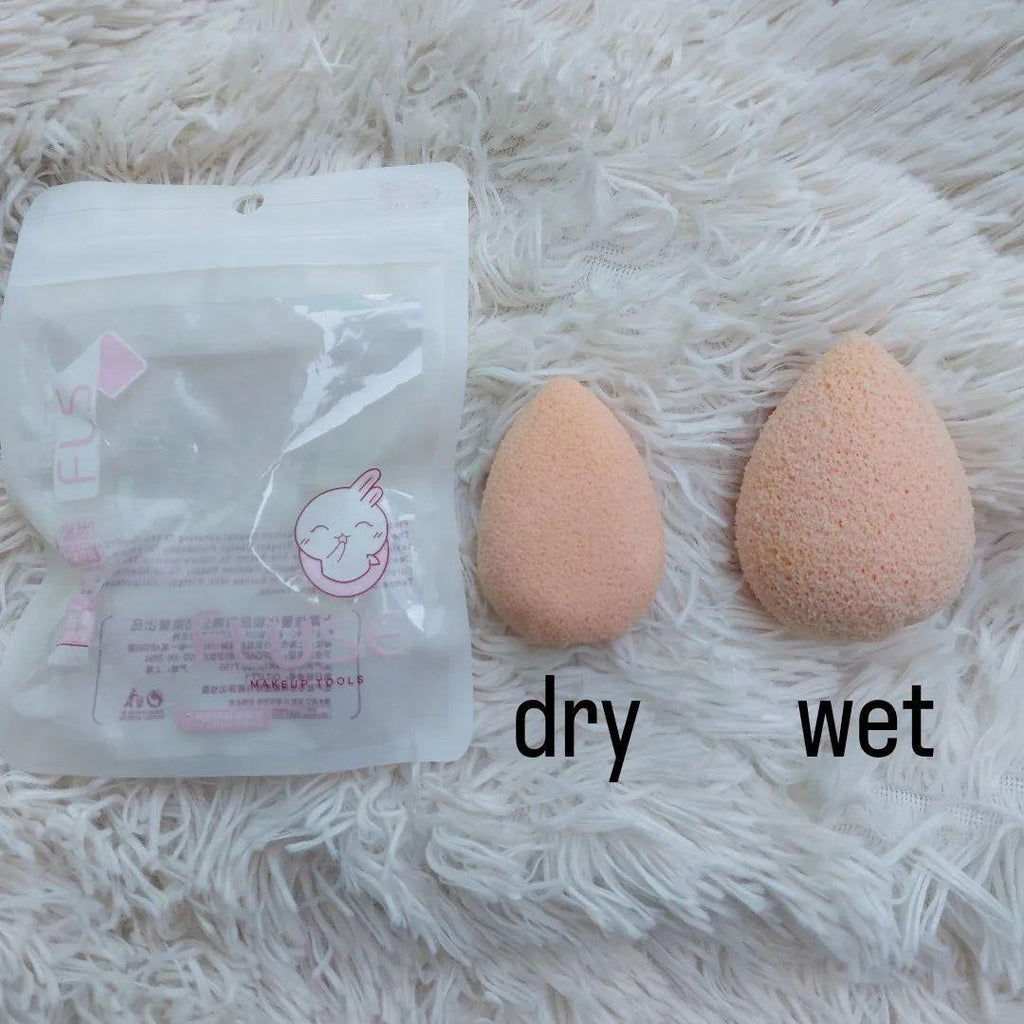 Makeup Foundation Blender - Pack of 4